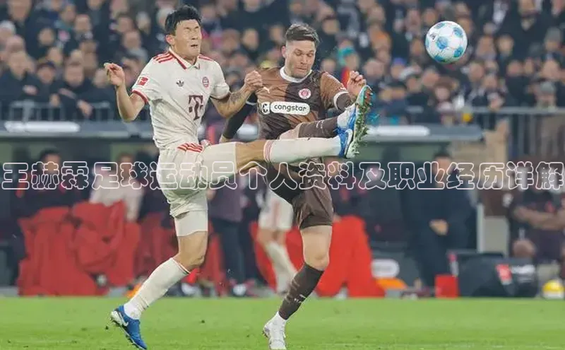 杏宇娱乐蓝色光标