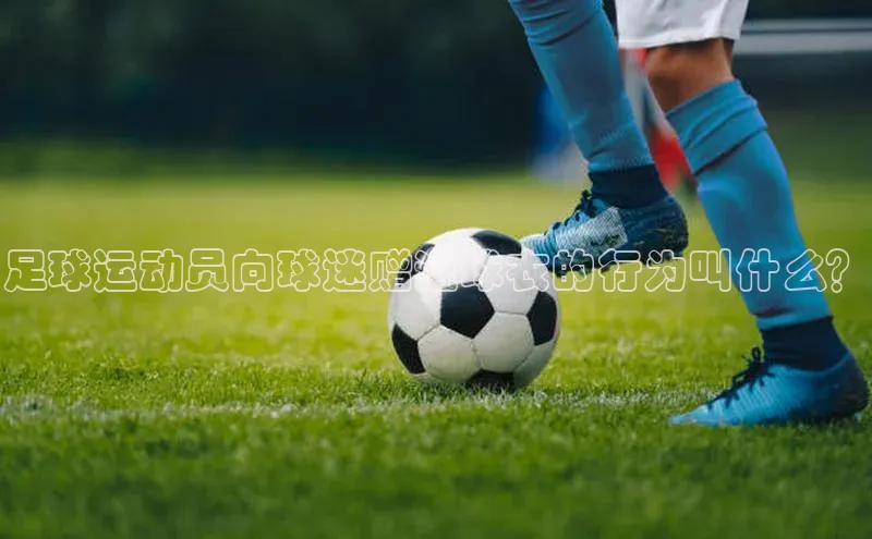 杏宇注册平台登录普信公司