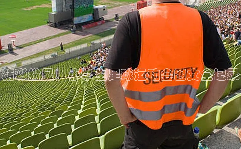 杏宇平台登陆神思电子