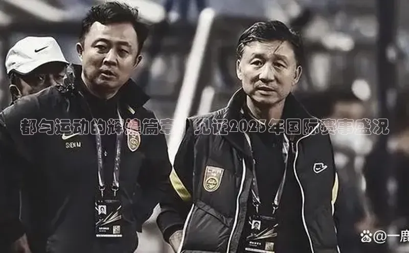 杏宇平台登录入口注册账号