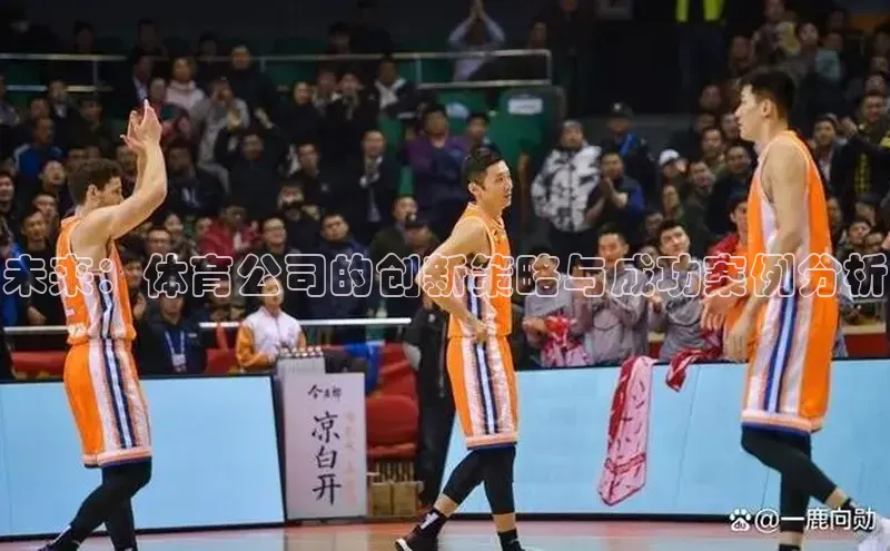 杏宇娱乐平台登录