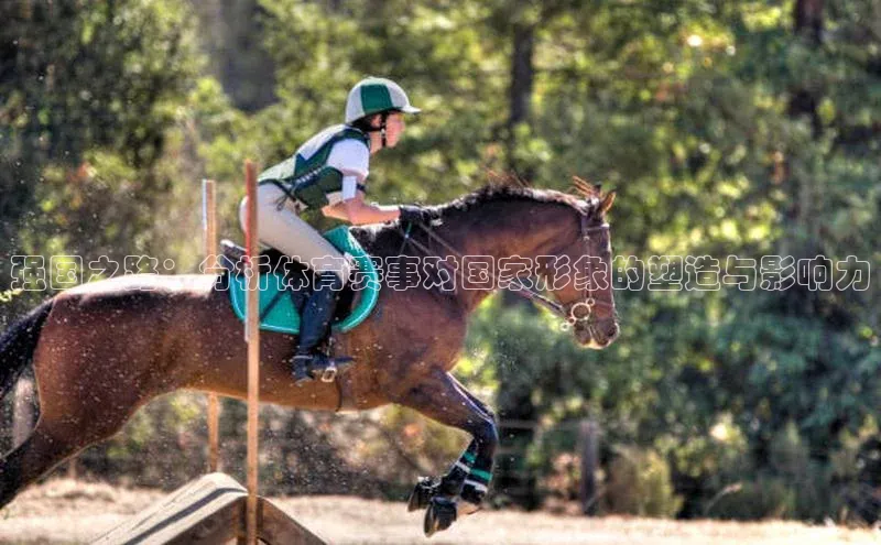 杏宇注册平台登录