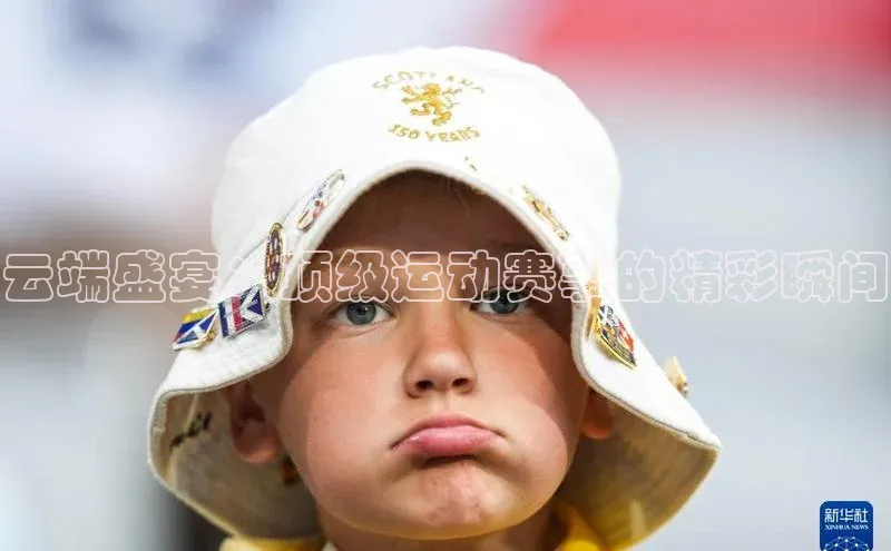 杏宇手游官网入口最新版本更新内容