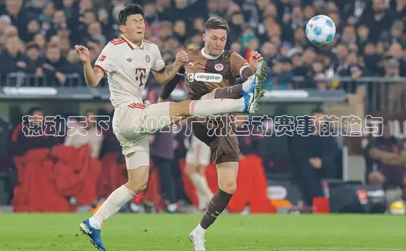 杏宇手游官网入口最新版本更新内容