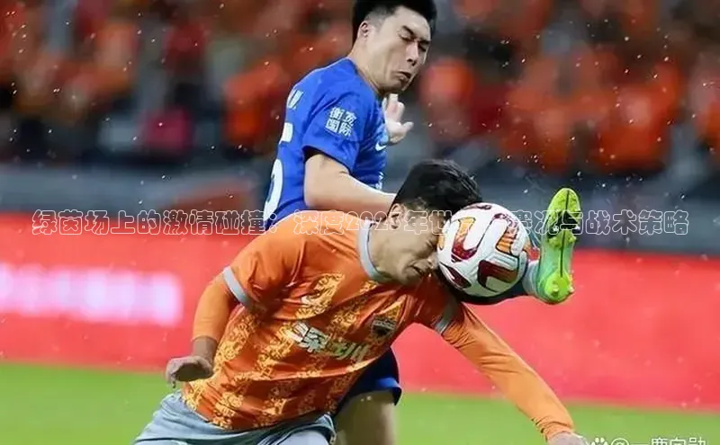 杏宇娱乐